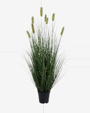 Argilla Onion Grass — studio packshot, artificial onion grass