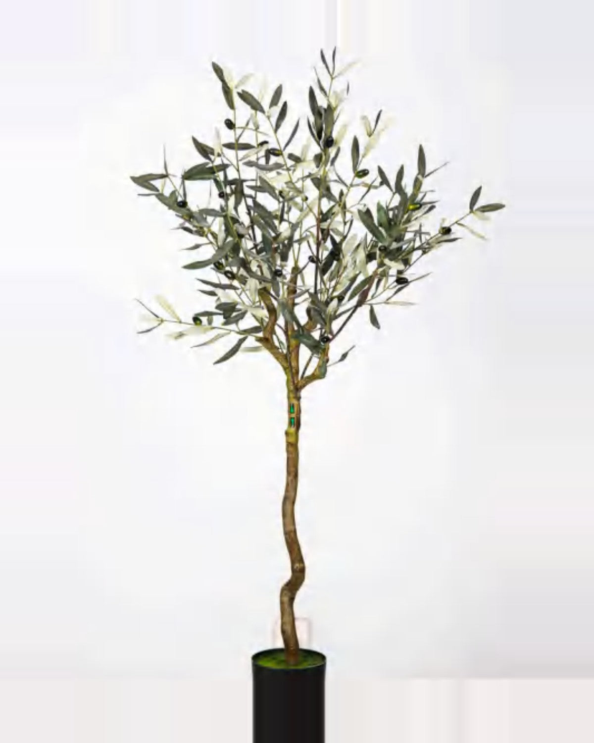 Camogli Olive Tree — studio packshot, artificial olive tree