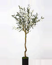 Camogli Olive Tree — studio packshot, artificial olive tree