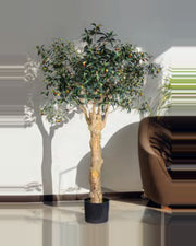 Gubbio Olive Tree — studio packshot, artificial olive tree