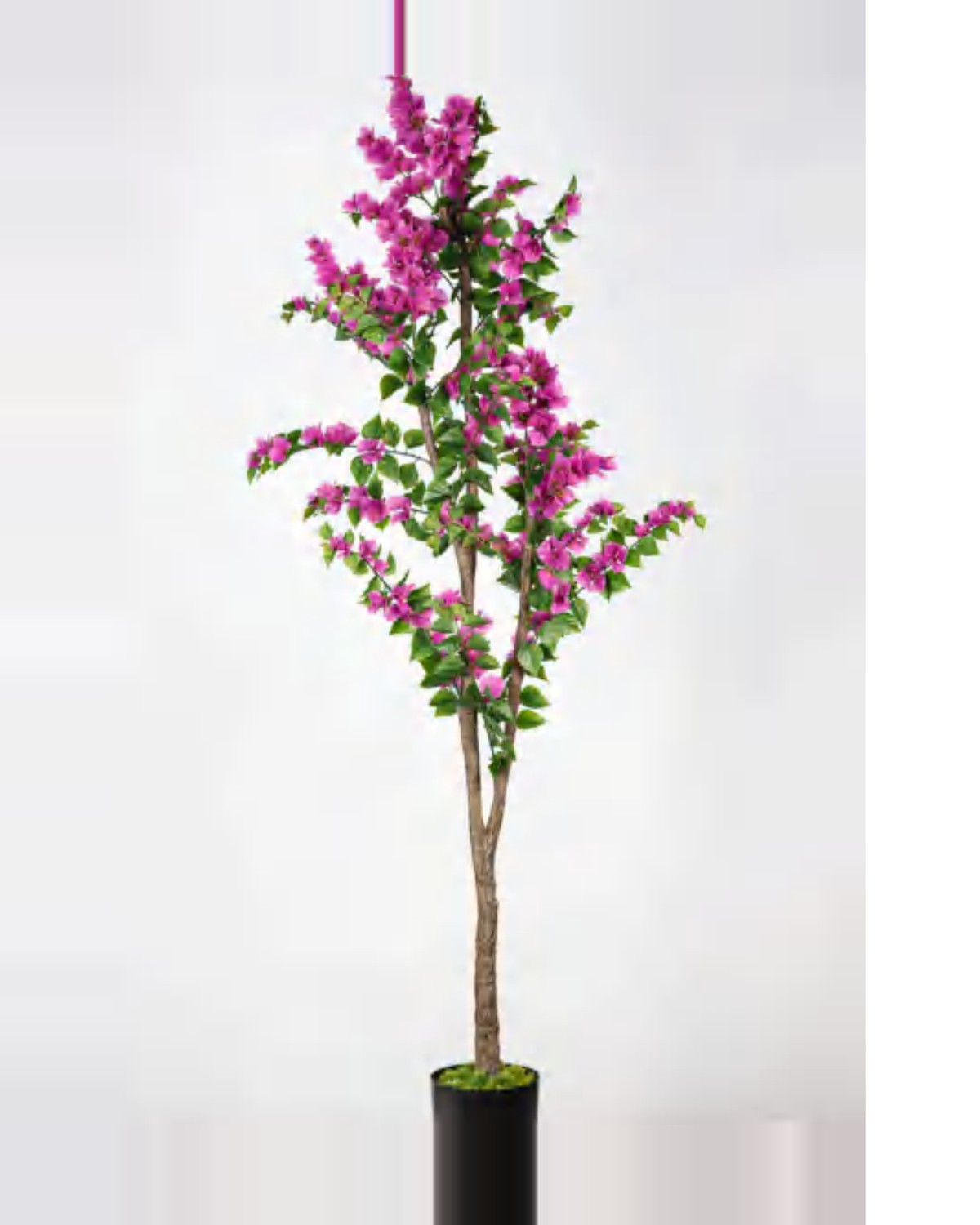 Bastide Bougainvillea Tree — studio packshot, artificial bougainvillea tree