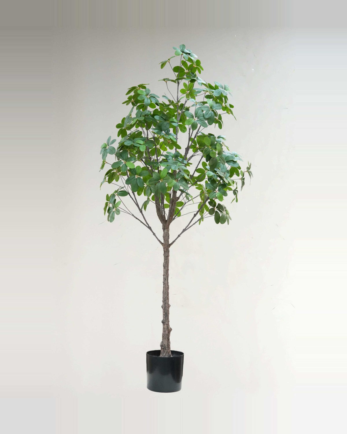 Farigoule Schefflera Leaf Tree — studio packshot, artificial schefflera leaf tree