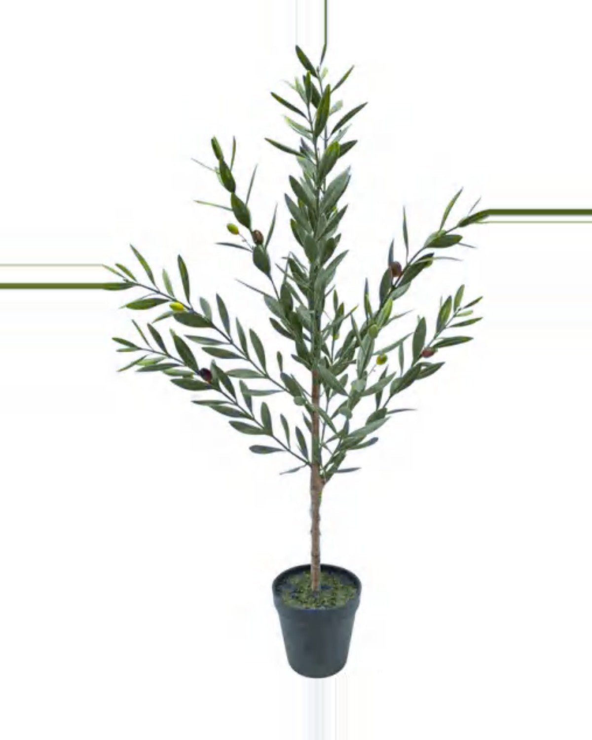 Salina Olive Tree — studio packshot, artificial olive tree