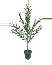 Salina Olive Tree — studio packshot, artificial olive tree