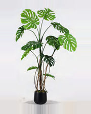 Sabbia Monstera Plant — studio packshot, artificial monstera plant