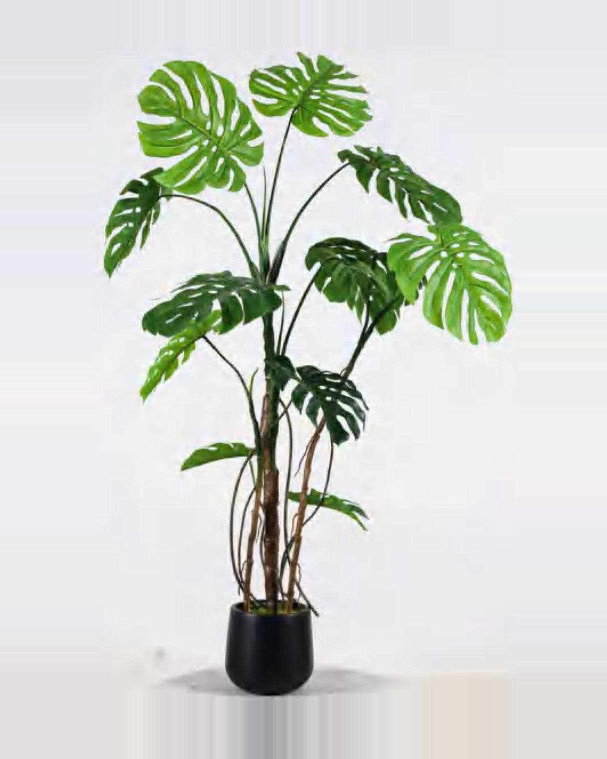 Sabbia Monstera Plant — studio packshot, artificial monstera plant