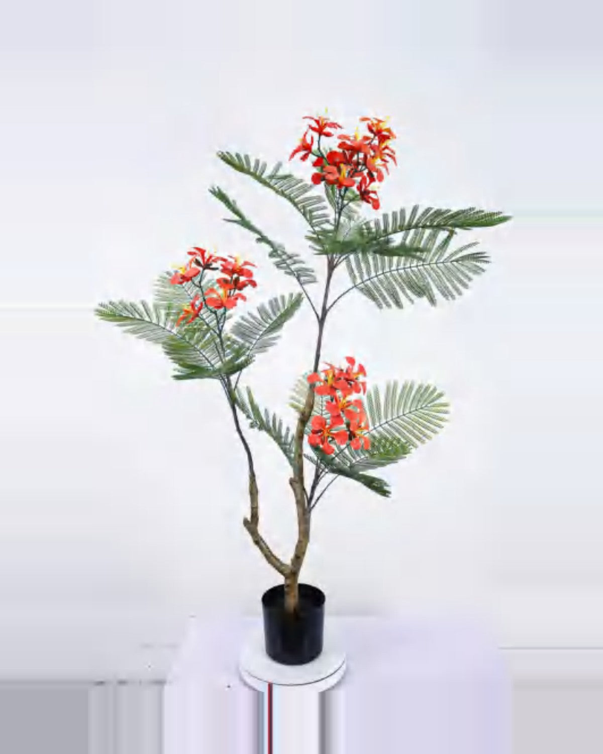 Ambra Royal Poinciana Tree — studio packshot, artificial royal poinciana tree