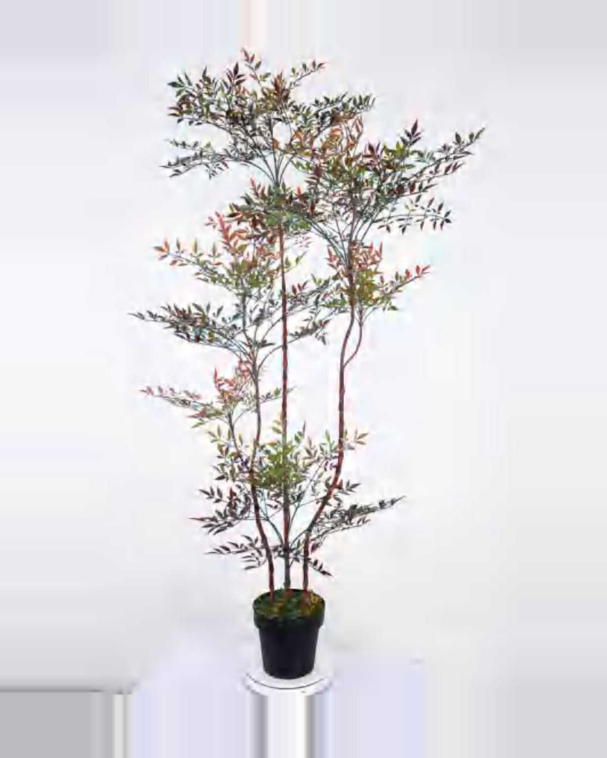 Sole Nandina Plant — studio packshot, artificial nandina plant