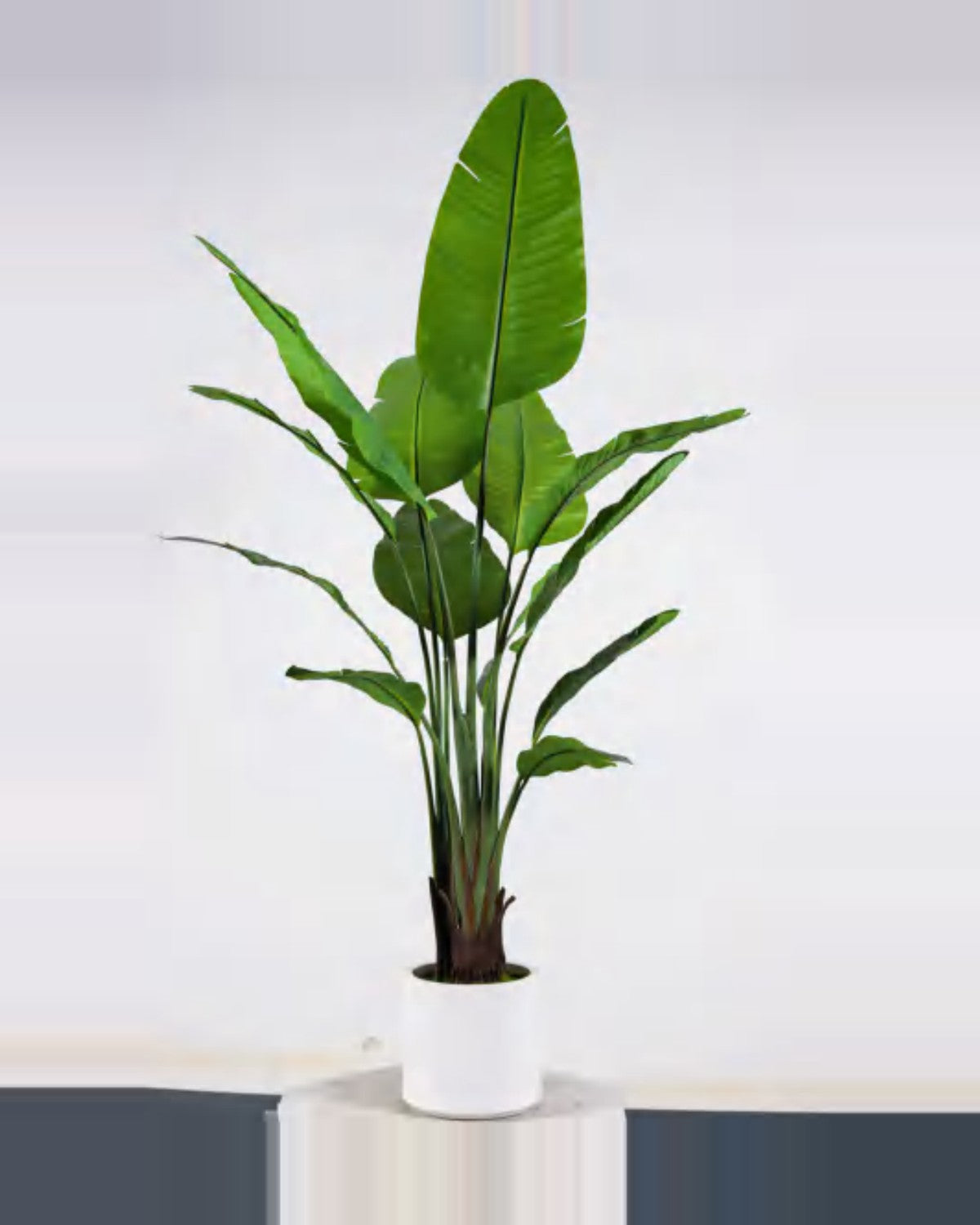 Bastide Travelers Palm Tree — studio packshot, artificial travelers palm tree