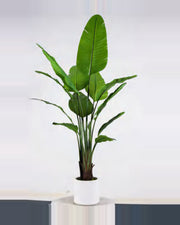 Bastide Travelers Palm Tree — studio packshot, artificial travelers palm tree