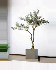 Sorrento Olive Tree — studio packshot, artificial olive tree