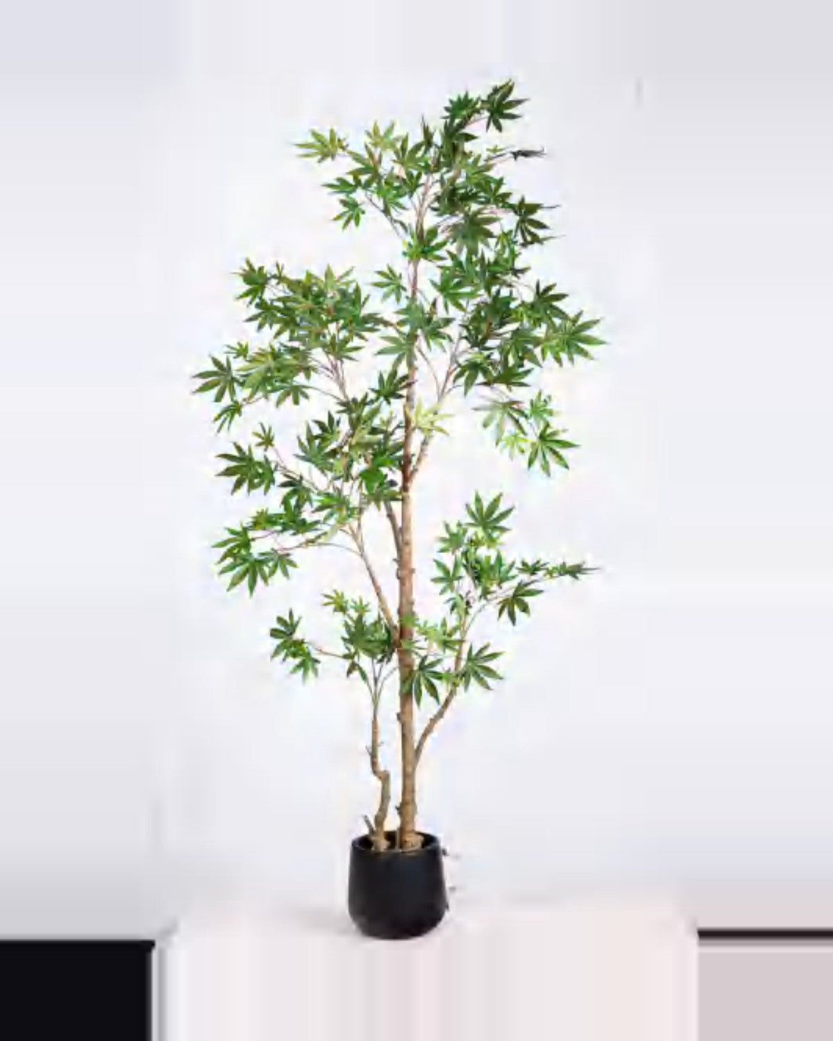 Aria Maple Tree — studio packshot, artificial maple tree