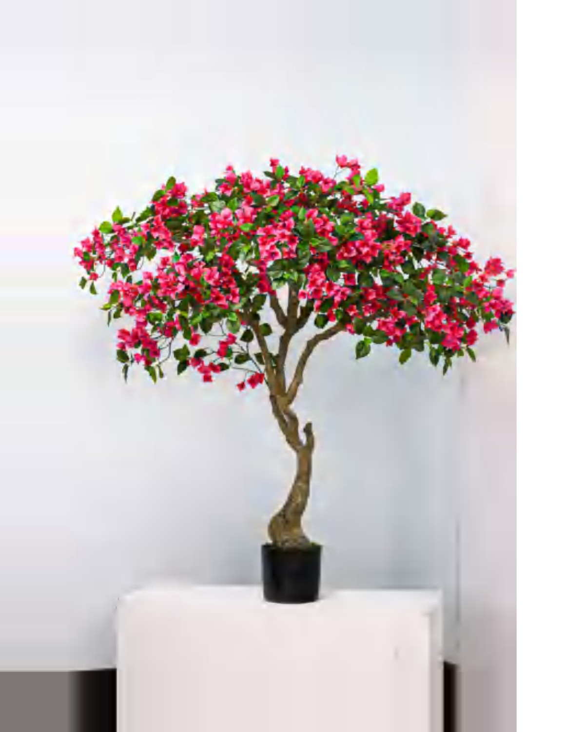 Cedre Bougainvillea Tree — studio packshot, artificial bougainvillea tree