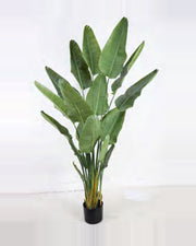 Ferrade Travelers Palm Tree — studio packshot, artificial travelers palm tree