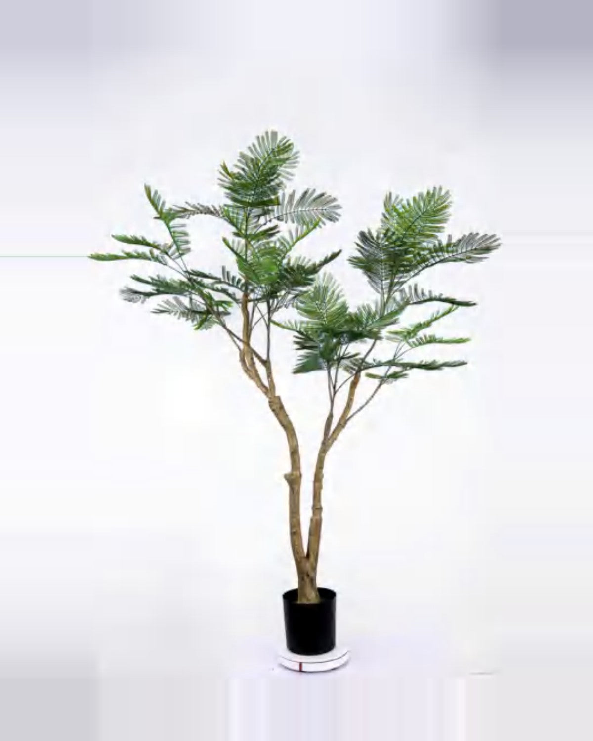 Mistral Phoenix Palm Tree — studio packshot, artificial phoenix palm tree