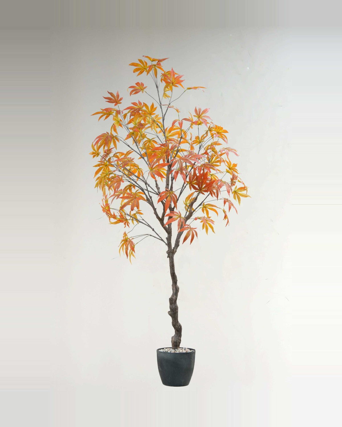 Draille Maple Tree Fake Tree Plants — studio packshot, artificial maple tree fake tree plants