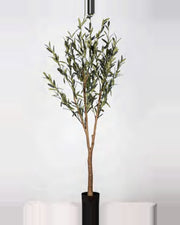 Montalcino Olive Tree — studio packshot, artificial olive tree