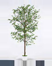 Teramo Black Olive Tree — studio packshot, artificial black olive tree