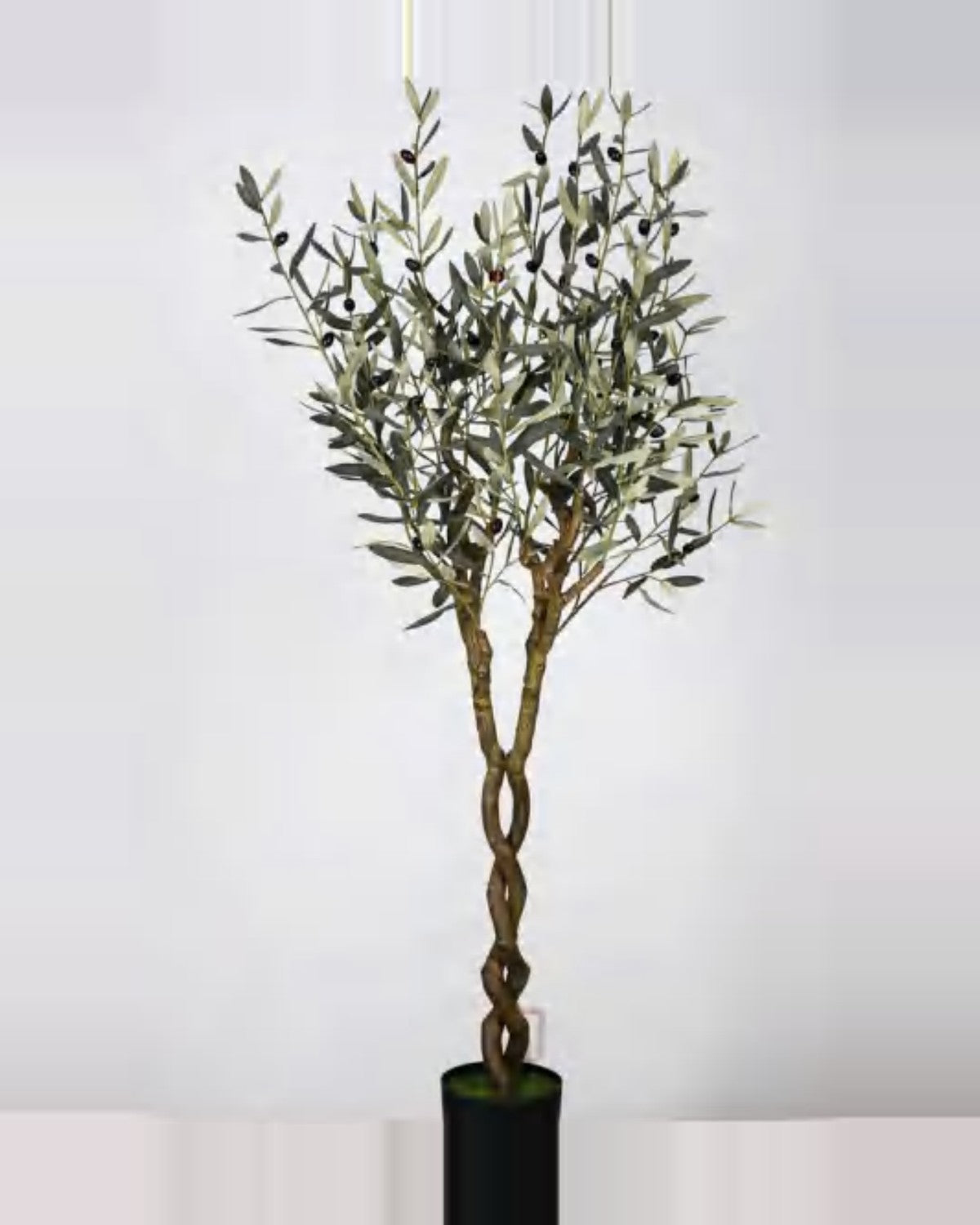 Volterra Olive Tree — studio packshot, artificial olive tree