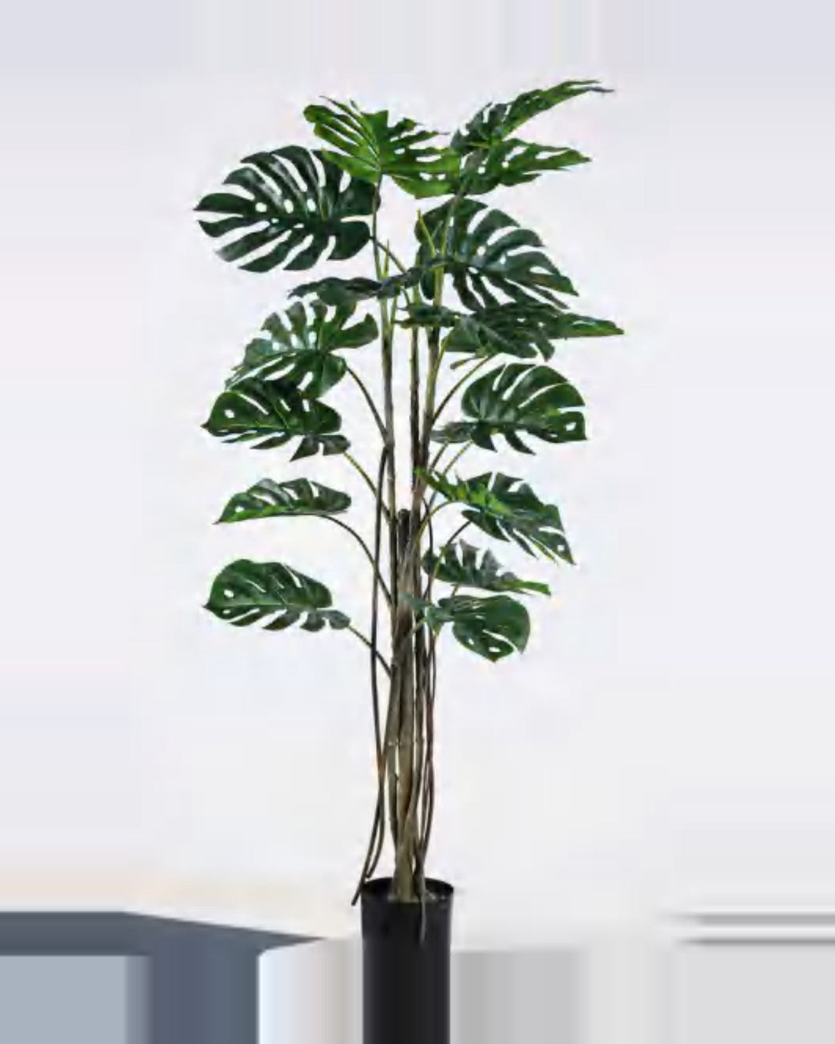 Lino Monstera Plant — studio packshot, artificial monstera plant