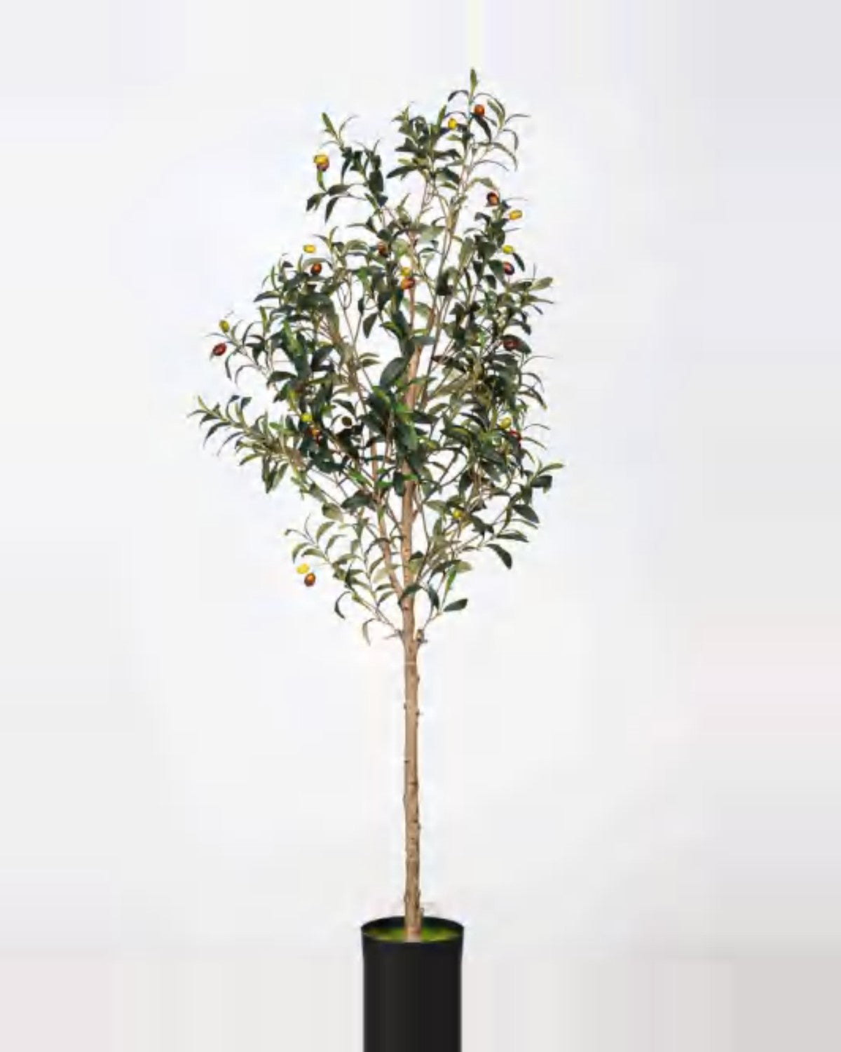 Procida Olive Tree — studio packshot, artificial olive tree