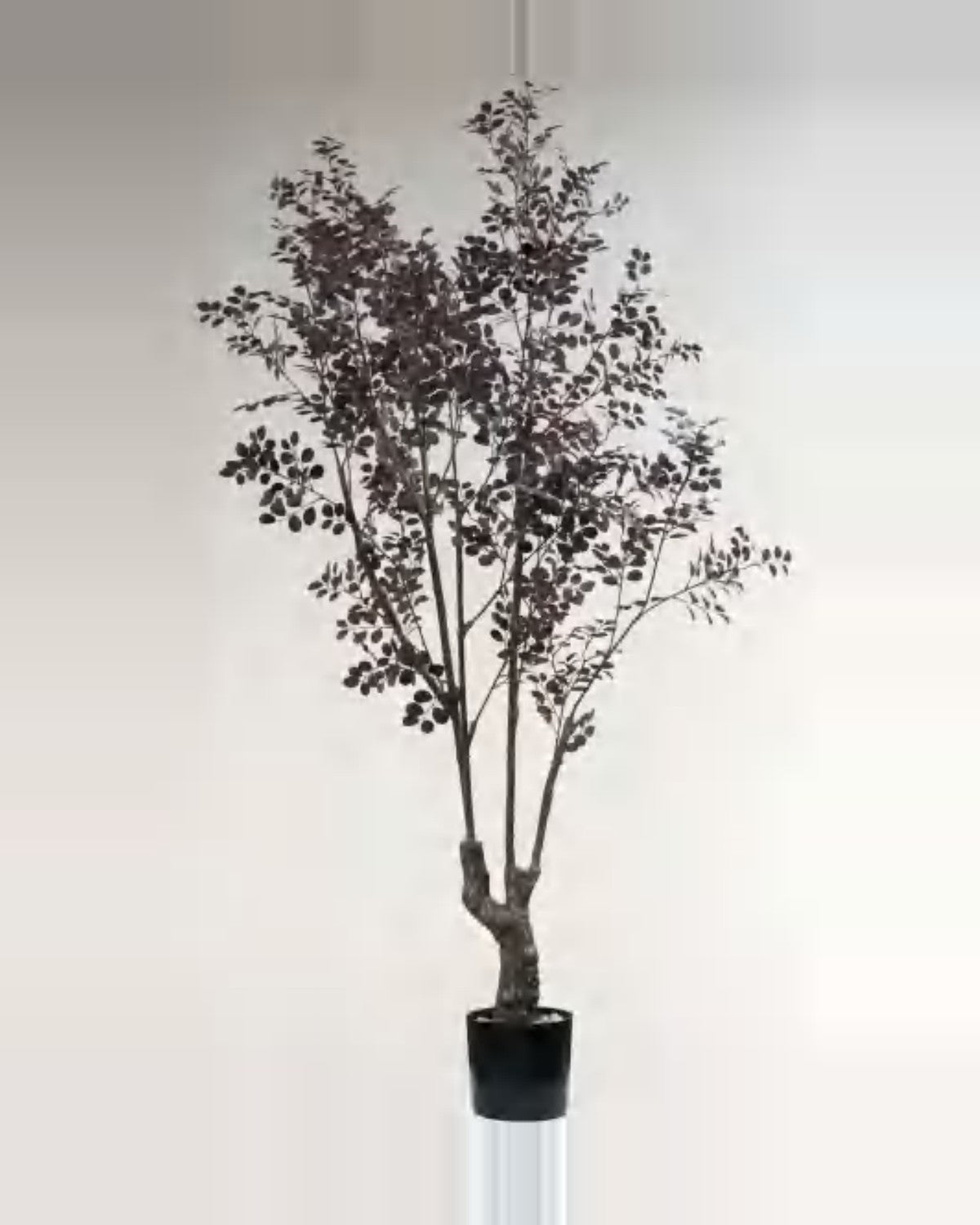 Cigale Crimson Fire Loropetalum Tree — studio packshot, artificial crimson fire loropetalum tree