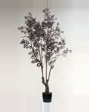 Cigale Crimson Fire Loropetalum Tree — studio packshot, artificial crimson fire loropetalum tree