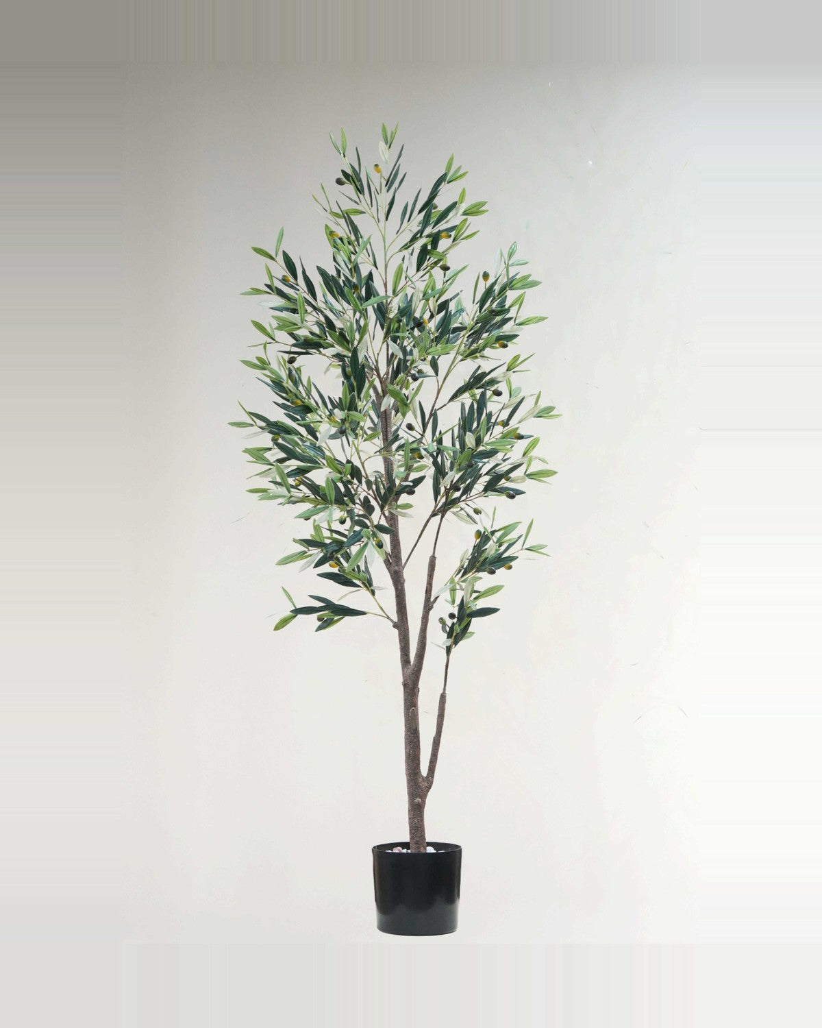 Lucchese Olive Fruit Leaf Tree — studio packshot, artificial olive fruit leaf tree