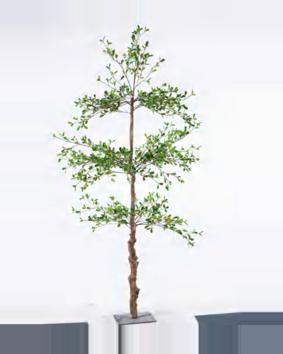 Ascoli Black Olive Tree — studio packshot, artificial black olive tree
