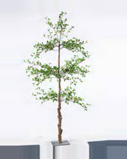 Ascoli Black Olive Tree — studio packshot, artificial black olive tree