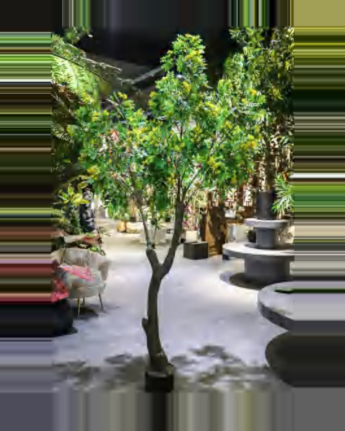 Restanque Osmanthus Tree — studio packshot, artificial osmanthus tree