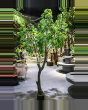 Restanque Osmanthus Tree — studio packshot, artificial osmanthus tree