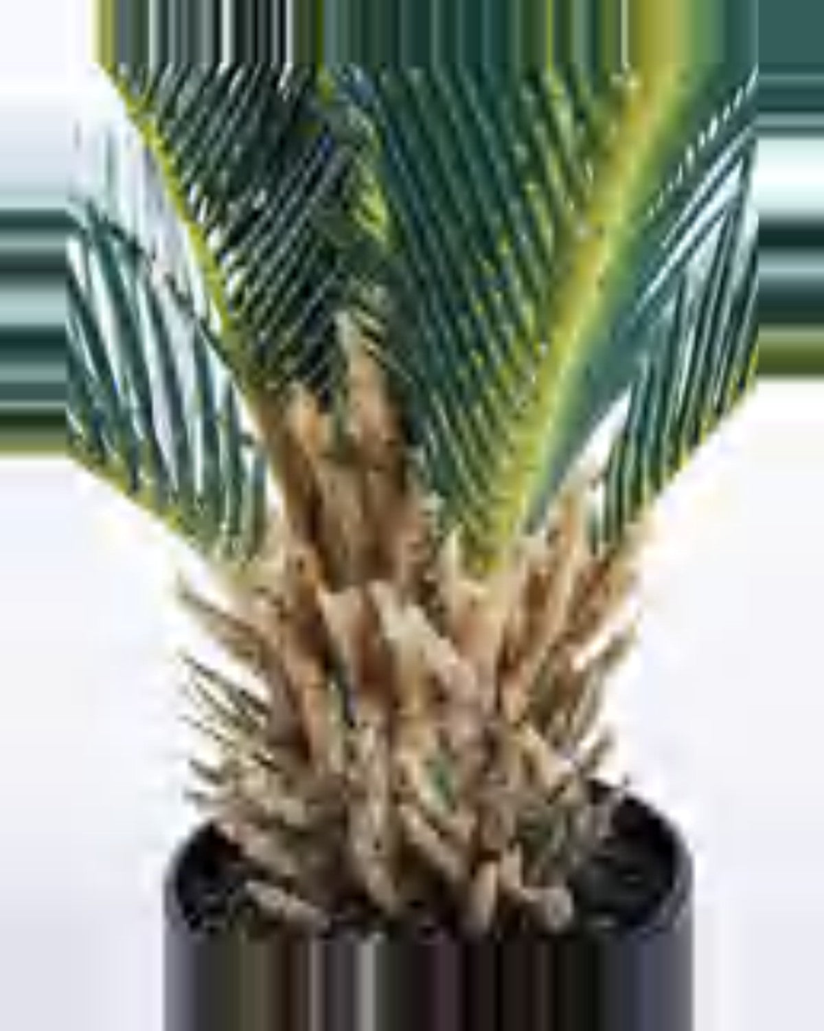 Draille Sago Palm — studio packshot, artificial sago palm