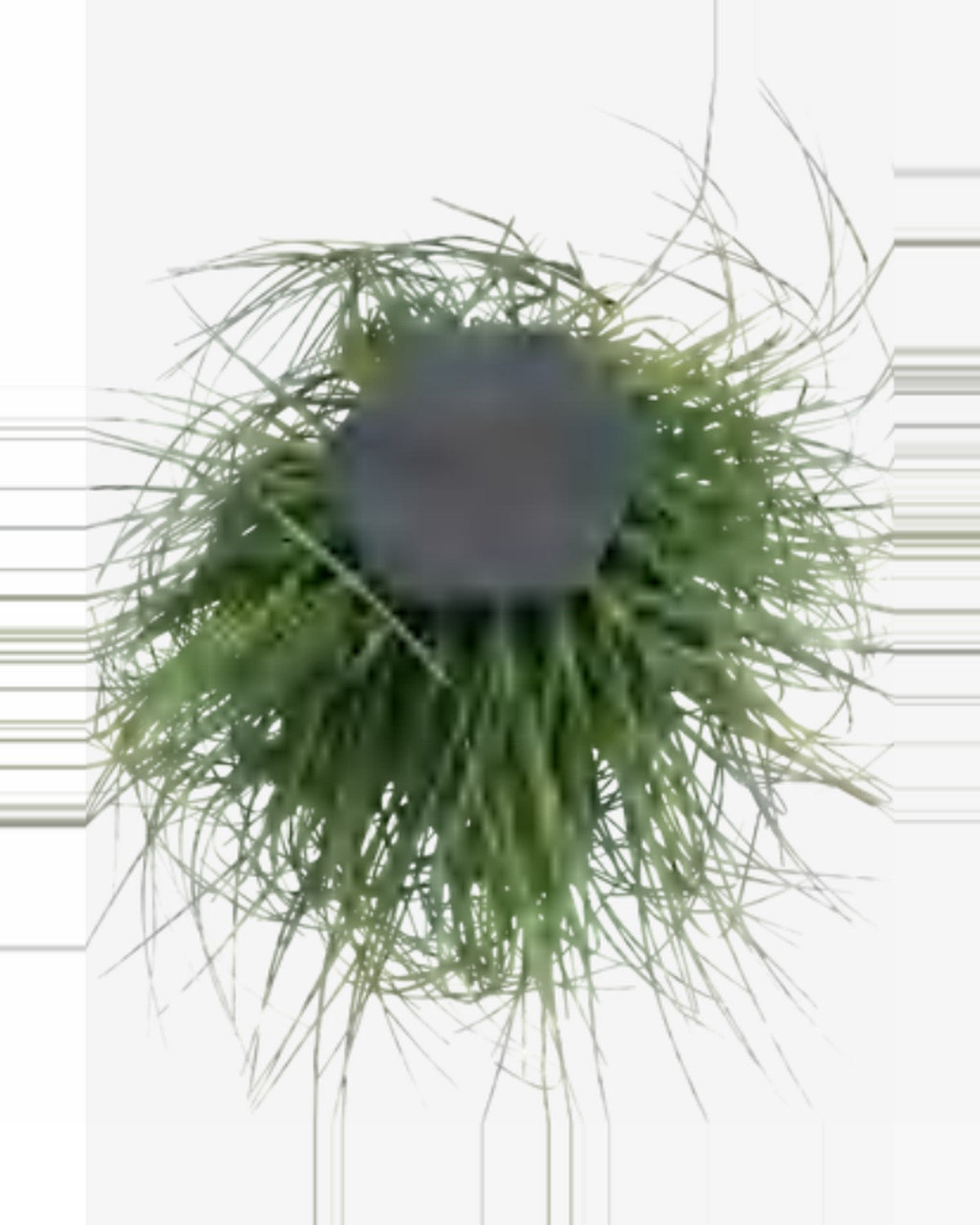 Vallon Onion Grass Bush — studio packshot, artificial onion grass bush