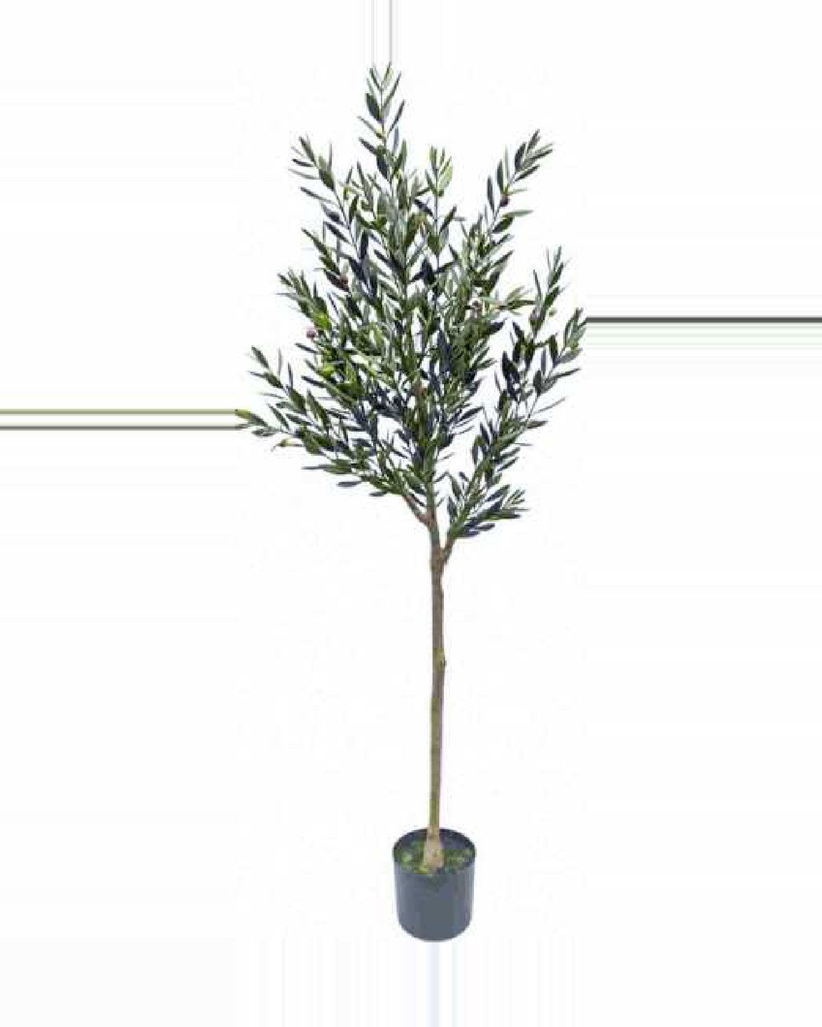 Noto Olive Tree — studio packshot, artificial olive tree