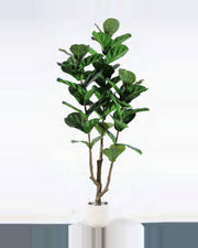Draille Fiddle Leaf Fig Tree — studio packshot, artificial fiddle leaf fig tree