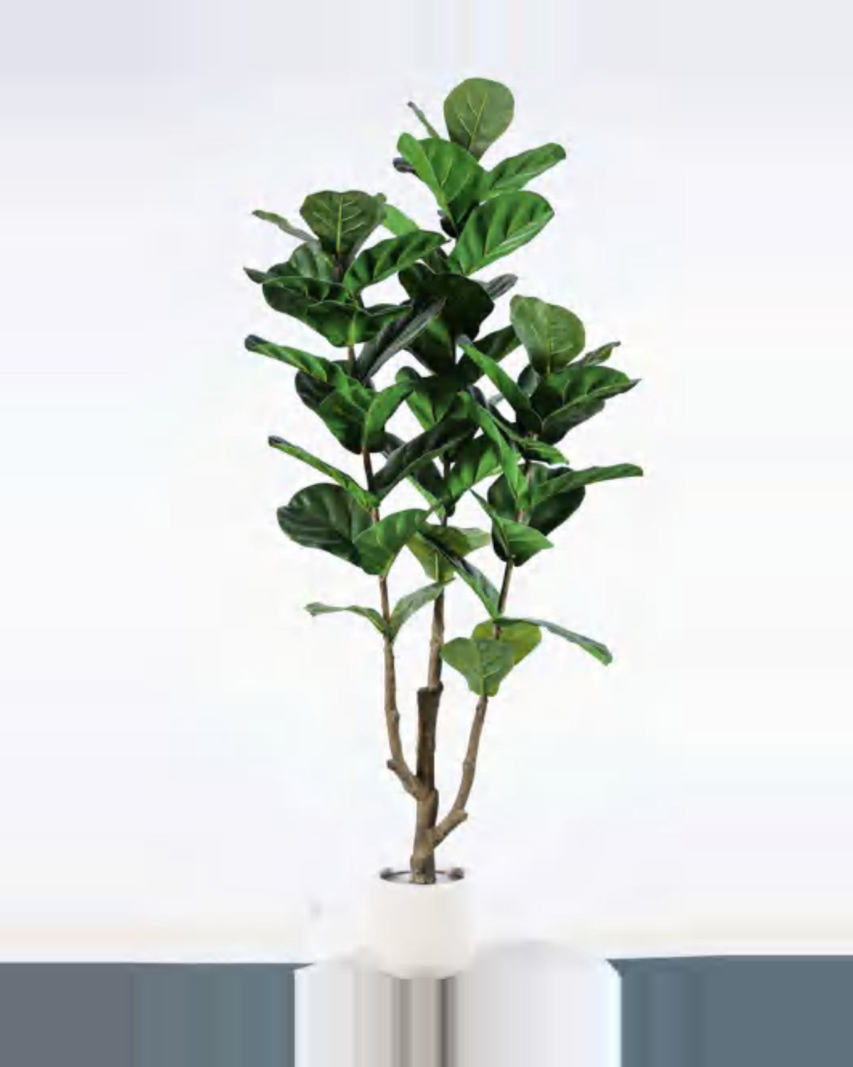 Draille Fiddle Leaf Fig Tree — studio packshot, artificial fiddle leaf fig tree