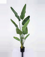 Restanque Travelers Palm Tree — studio packshot, artificial travelers palm tree