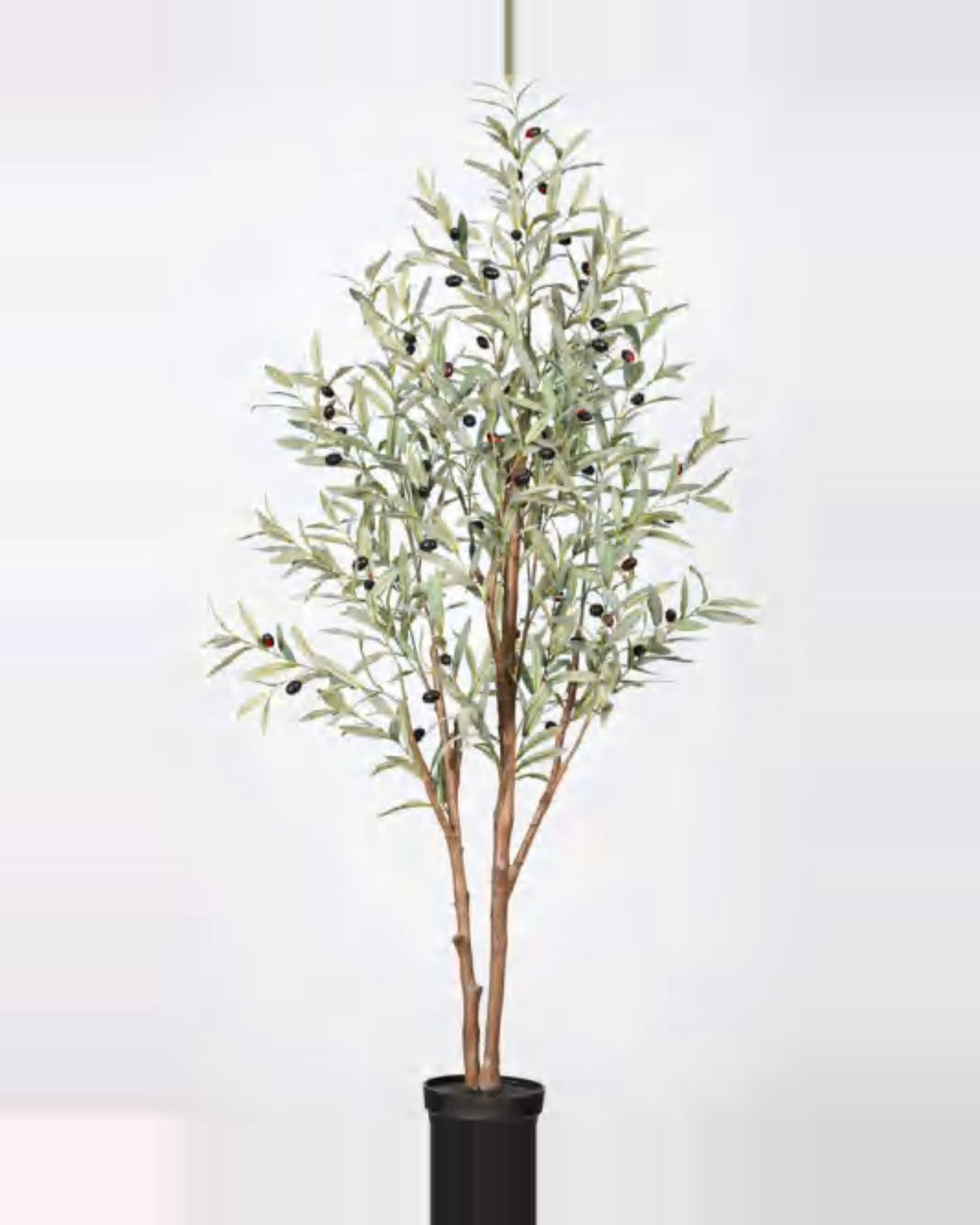 Cortona Olive Tree — studio packshot, artificial olive tree
