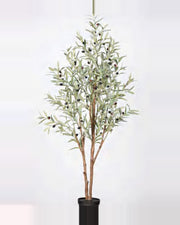Cortona Olive Tree — studio packshot, artificial olive tree