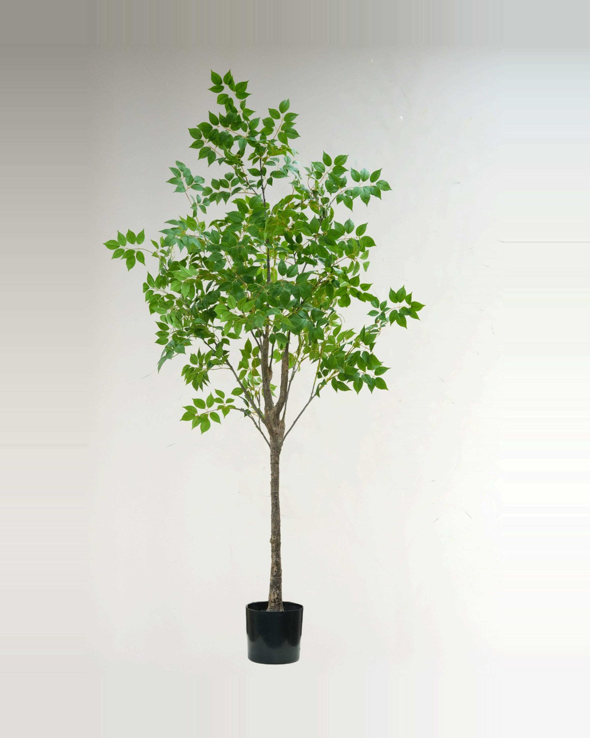 Estive Lucky Leaf Tree — studio packshot, artificial lucky leaf tree