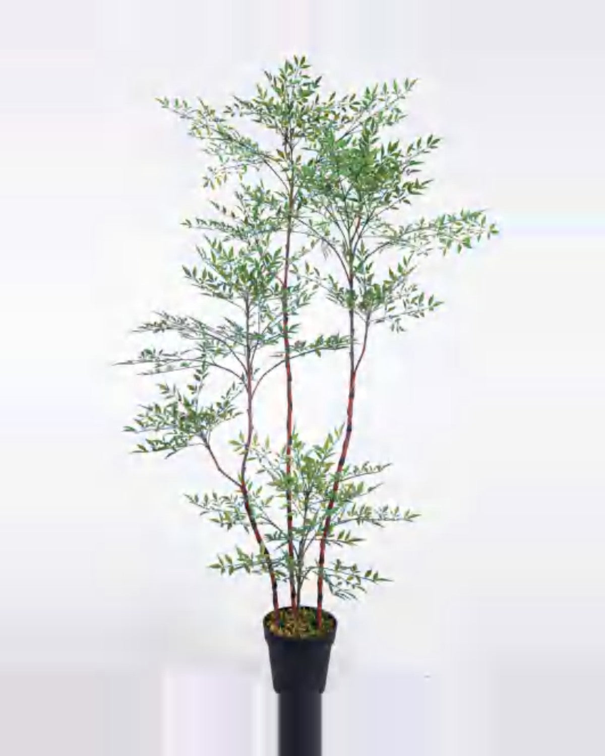 Vera Nandina Plant — studio packshot, artificial nandina plant