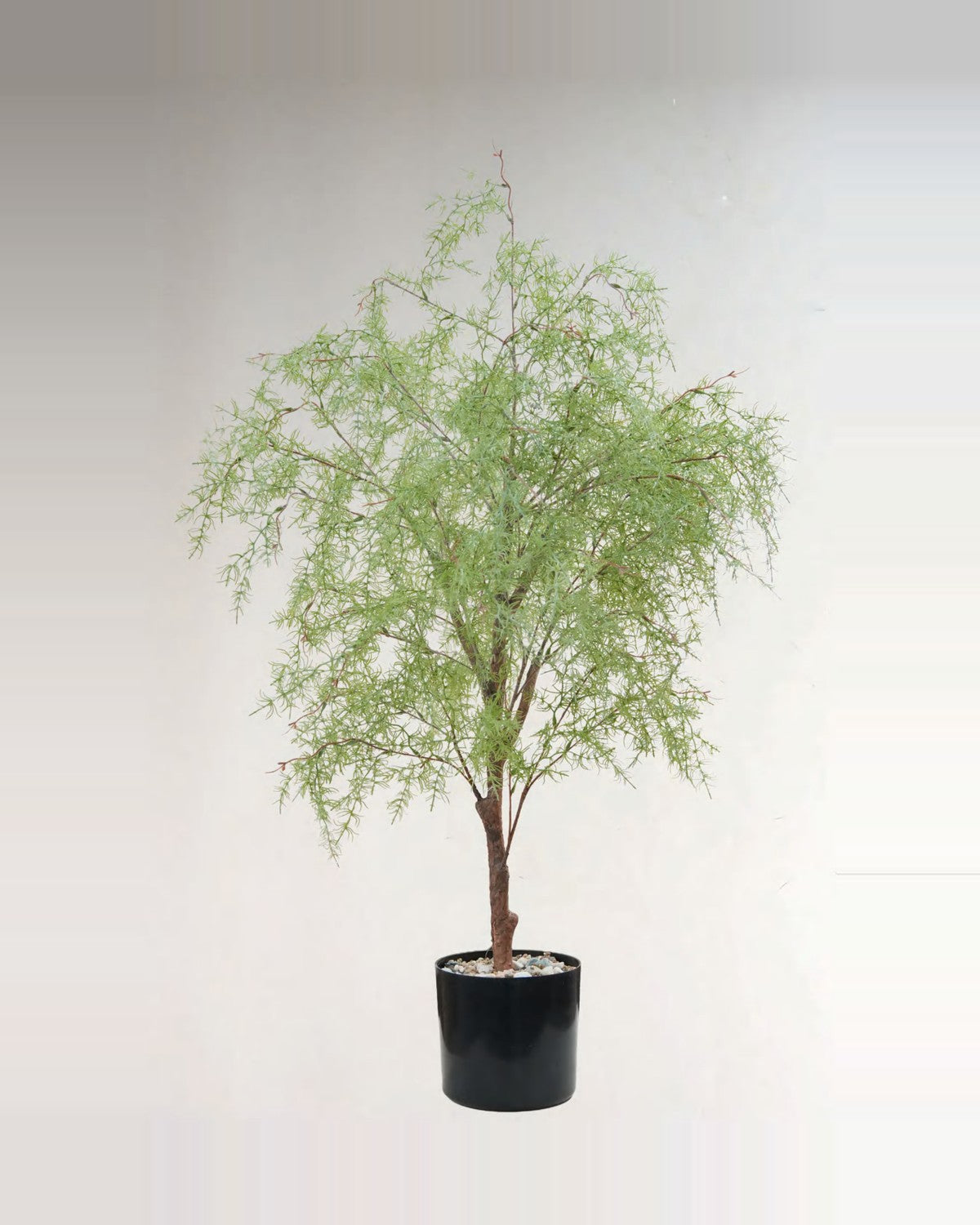 Nova Goldfish Grass Tree For Fish Tank Aquarium — studio packshot, artificial goldfish grass tree for fish tank aquarium