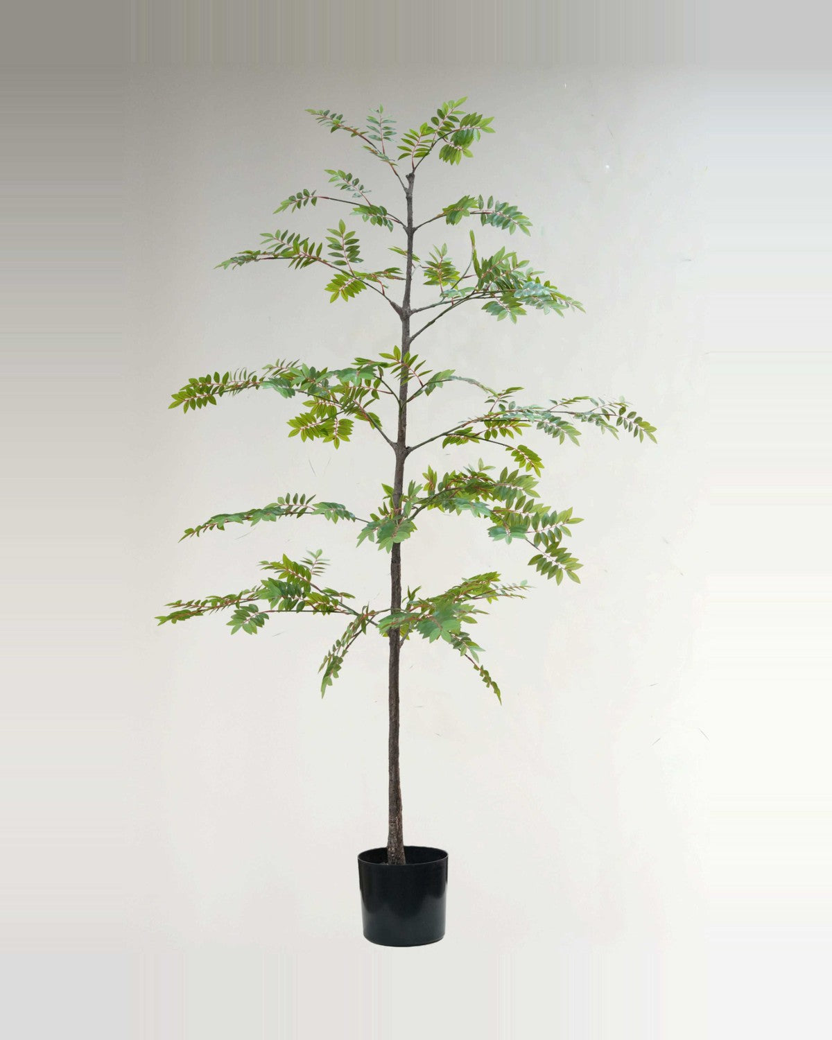 Terra Little Green Leaf Tree — studio packshot, artificial little green leaf tree