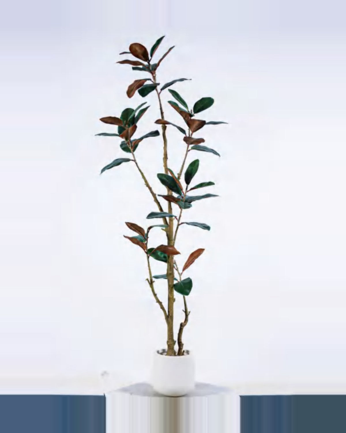 Amandier Magnolia Flower Tree — studio packshot, artificial magnolia flower tree