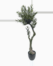 Ostuni Olive Tree — studio packshot, artificial olive tree