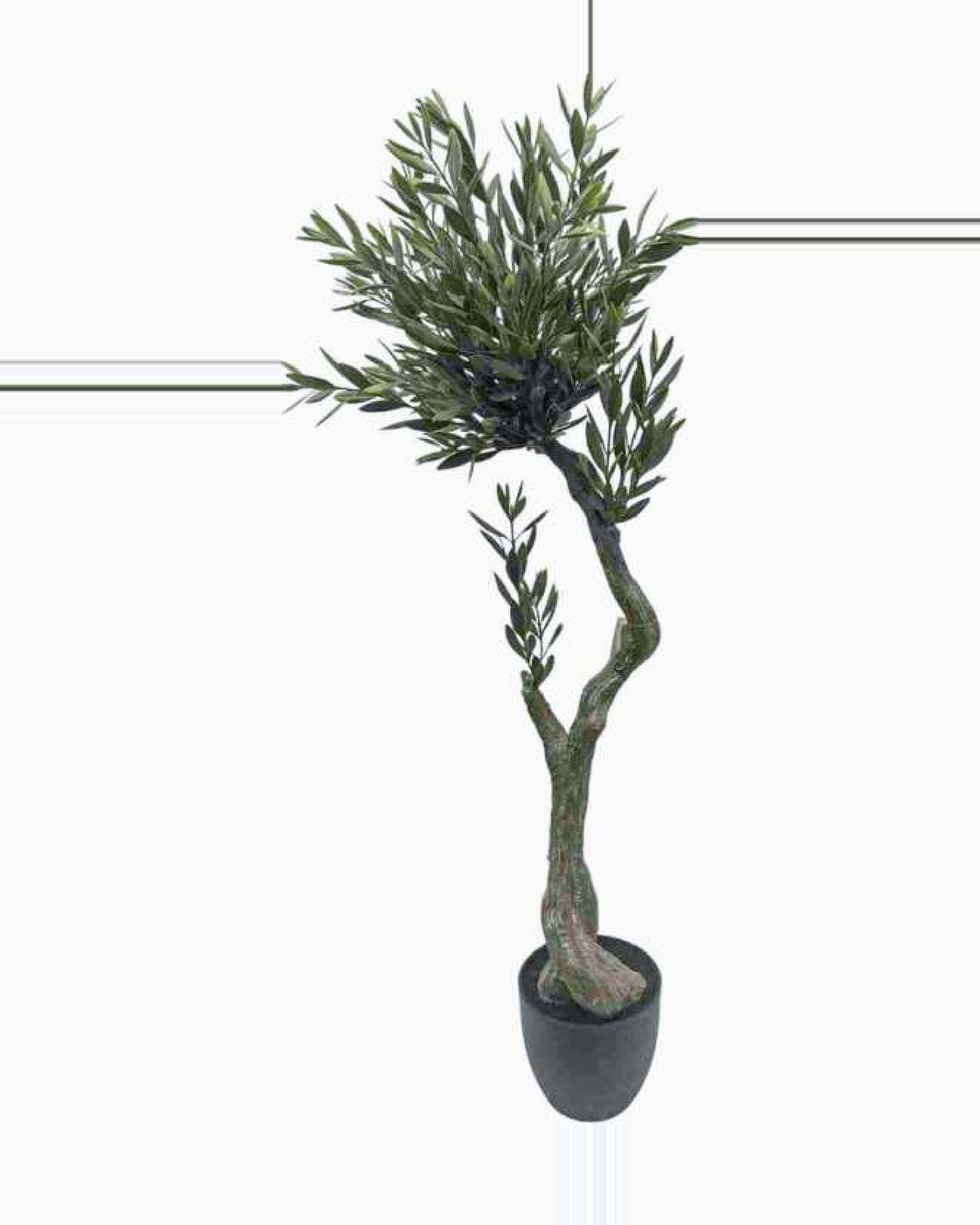 Ostuni Olive Tree — studio packshot, artificial olive tree