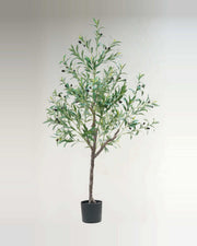 Sienese Olive Tree — studio packshot, artificial olive tree