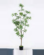 Nova Pieris Tree — studio packshot, artificial pieris tree