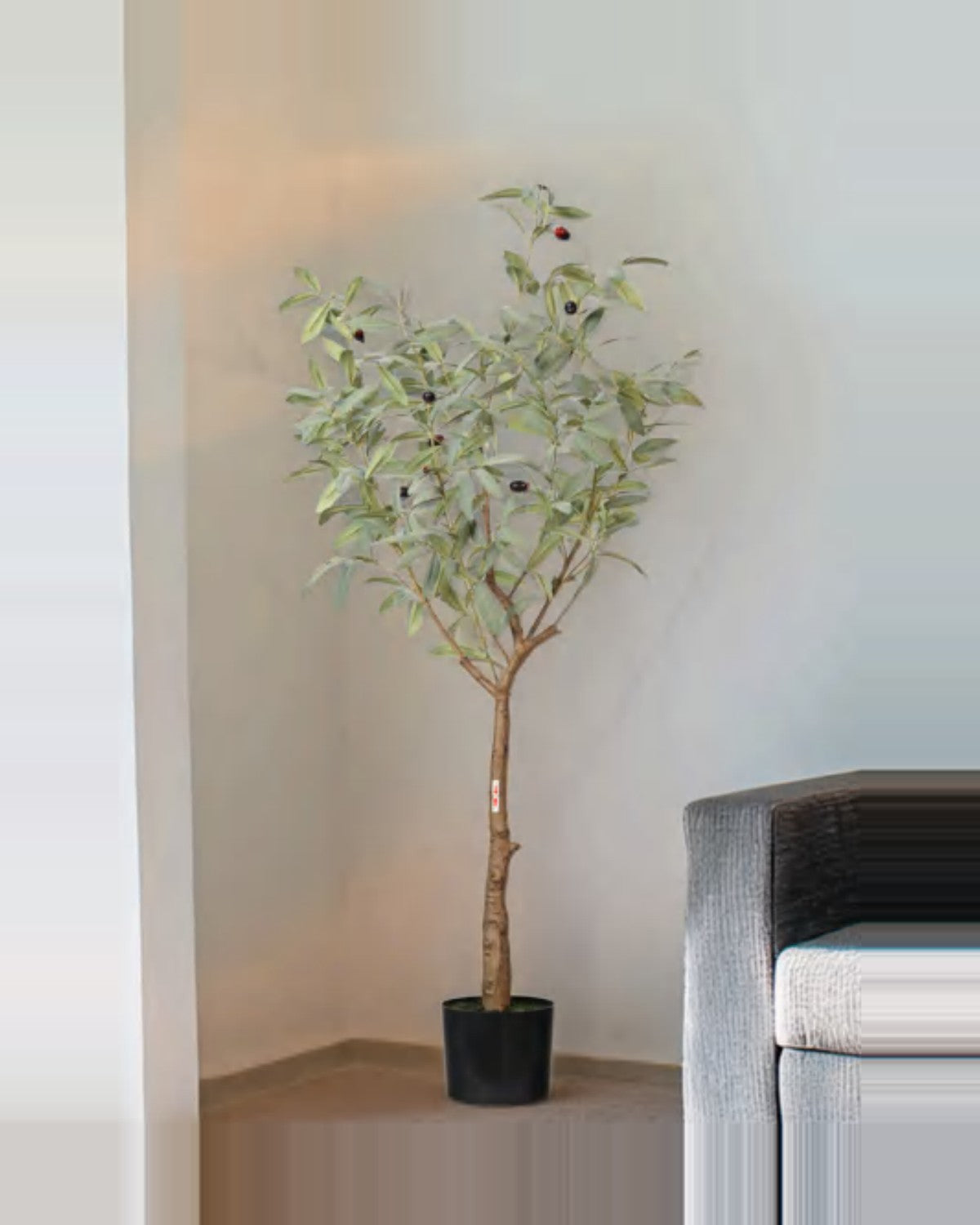 Amalfi Olive Tree — studio packshot, artificial olive tree